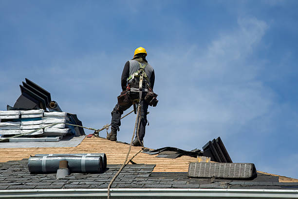 Professional Roof Replacement technician working in Logan, NM